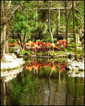 Homosassa State Wildlife Park
